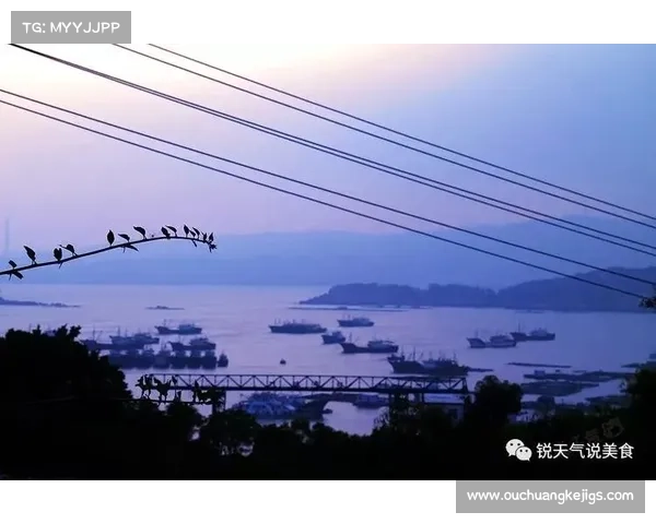 鹤观岛探秘之旅全攻略 注意事项与必备准备详解 鹤观岛探秘之旅全攻略 注意事项与必备准备详解