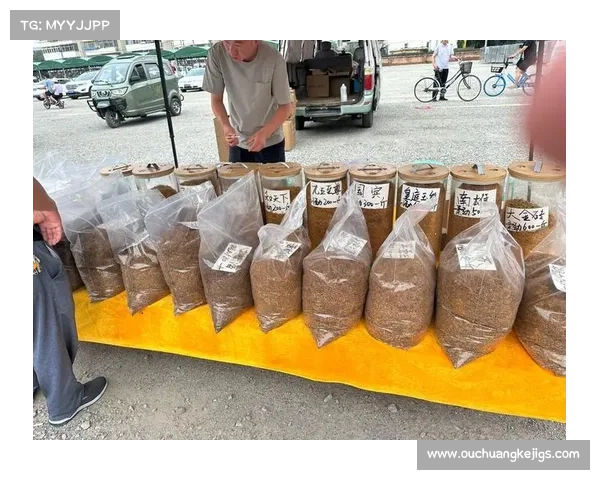 DK宏技术在实际应用中的关键问题与挑战研究 DK宏技术在实际应用中的关键问题与挑战研究